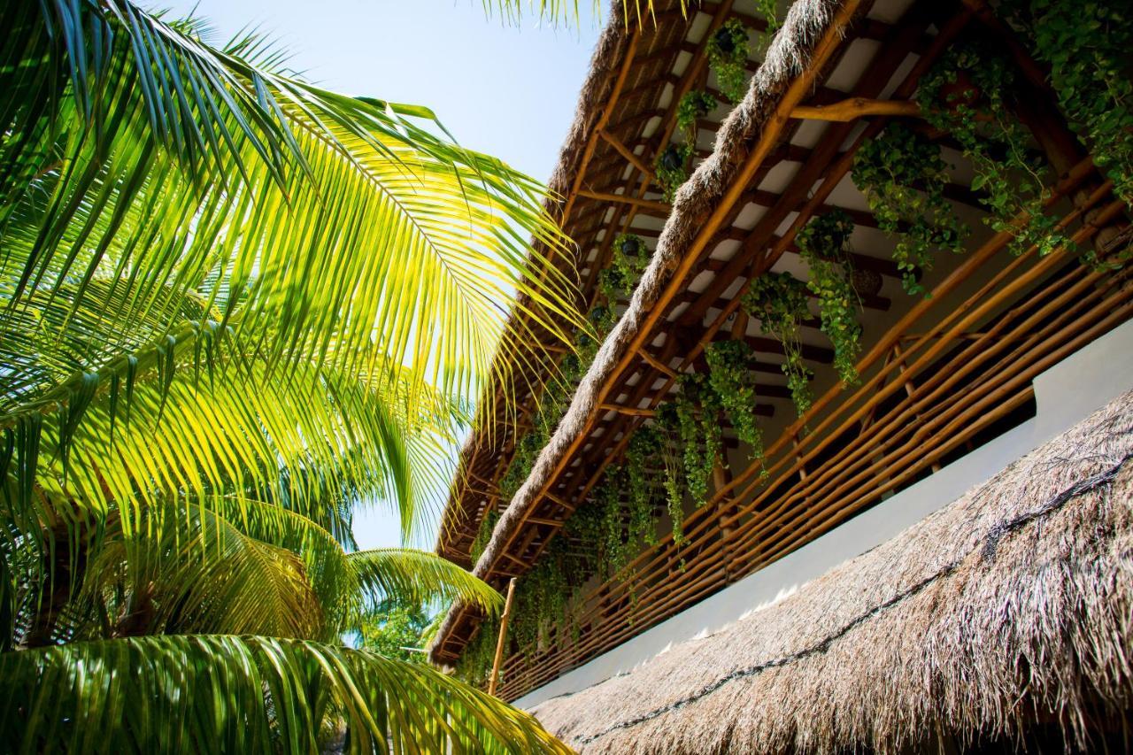 Tropical Suites By Mij Isla Holbox Екстериор снимка
